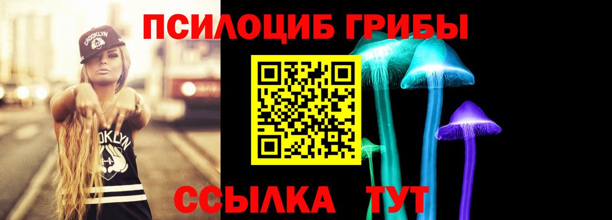 Псилоцибиновые грибы Psilocybine cubensis Выкса